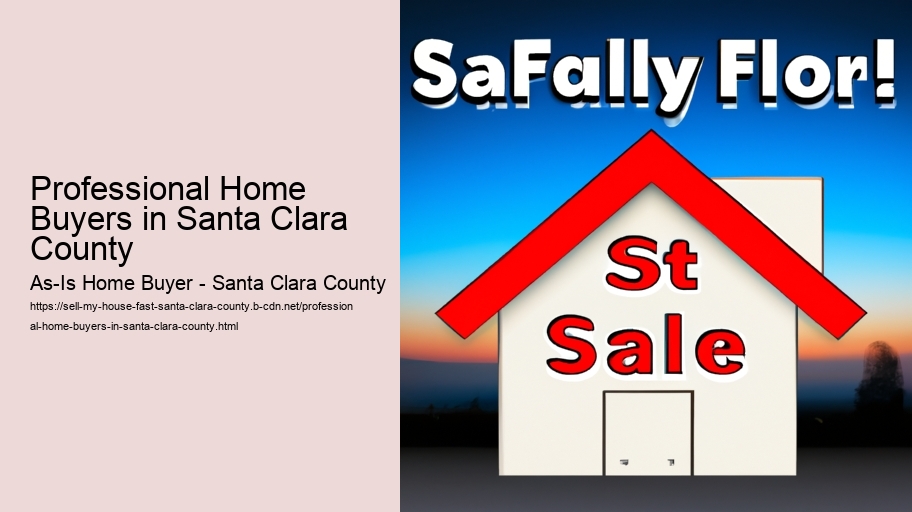 Professional Home Buyers in Santa Clara County